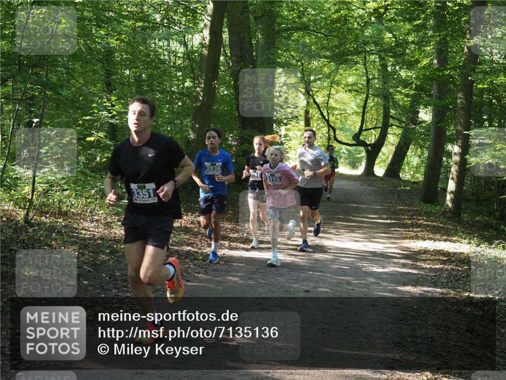 22.09.2024 - 32. Volkslauf durch das schöne Alstertal Miley Keyser http://msf.ph/oto/7135136 22.09.2024 10:49:54 Laufen 3351, 3936, 3181, 3155 meine-sportfotos.de