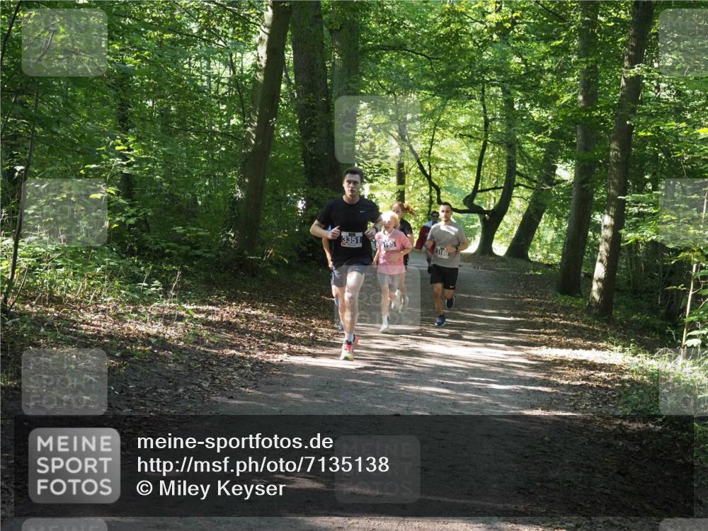 22.09.2024 - 32. Volkslauf durch das schöne Alstertal Miley Keyser http://msf.ph/oto/7135138 22.09.2024 10:49:53 Laufen 3351, 3155 meine-sportfotos.de