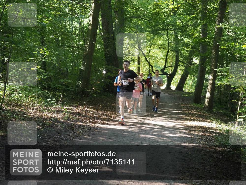 22.09.2024 - 32. Volkslauf durch das schöne Alstertal Miley Keyser http://msf.ph/oto/7135141 22.09.2024 10:49:53 Laufen 3351, 3180 meine-sportfotos.de