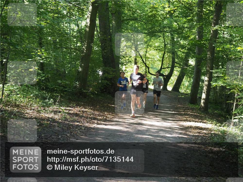 22.09.2024 - 32. Volkslauf durch das schöne Alstertal Miley Keyser http://msf.ph/oto/7135144 22.09.2024 10:49:52 Laufen 3936, 181, 3180, 125 meine-sportfotos.de