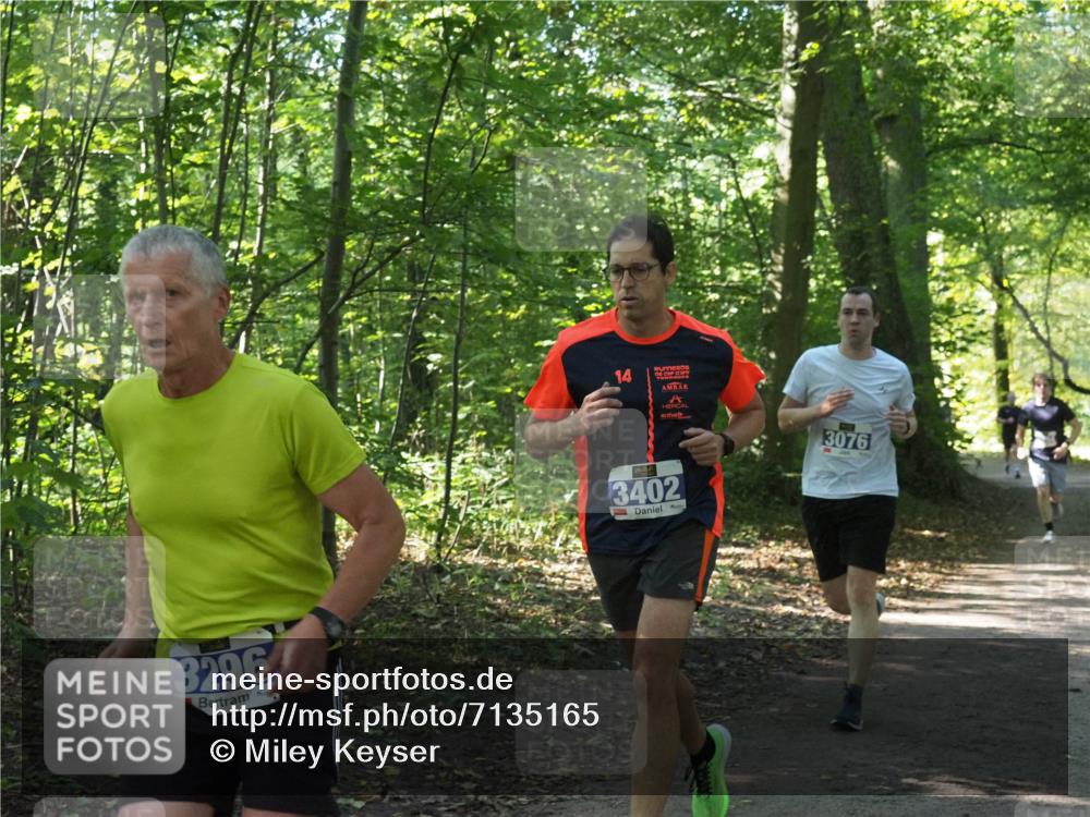 22.09.2024 - 32. Volkslauf durch das schöne Alstertal Miley Keyser http://msf.ph/oto/7135165 22.09.2024 10:49:32 Laufen 3296, 3076, 3402 meine-sportfotos.de