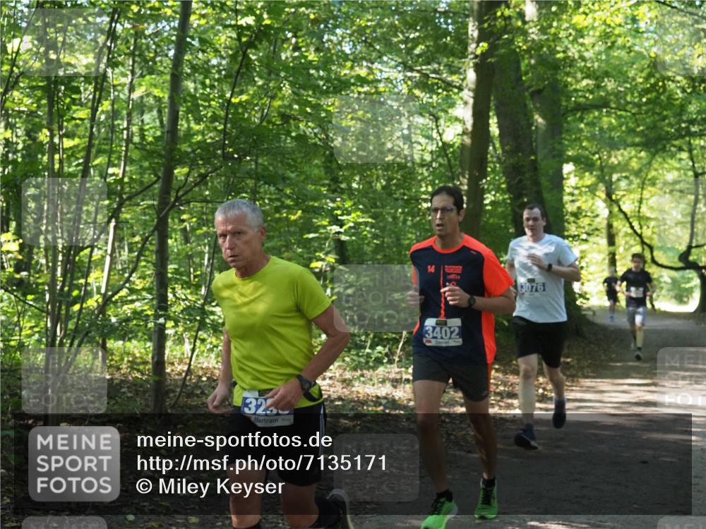 22.09.2024 - 32. Volkslauf durch das schöne Alstertal Miley Keyser http://msf.ph/oto/7135171 22.09.2024 10:49:32 Laufen 323, 3402, 3076 meine-sportfotos.de