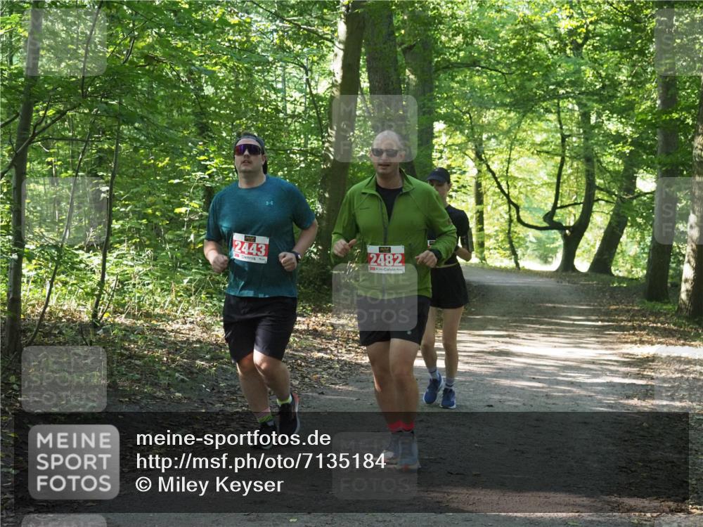 22.09.2024 - 32. Volkslauf durch das schöne Alstertal Miley Keyser http://msf.ph/oto/7135184 22.09.2024 10:49:15 Laufen 2443, 2482 meine-sportfotos.de