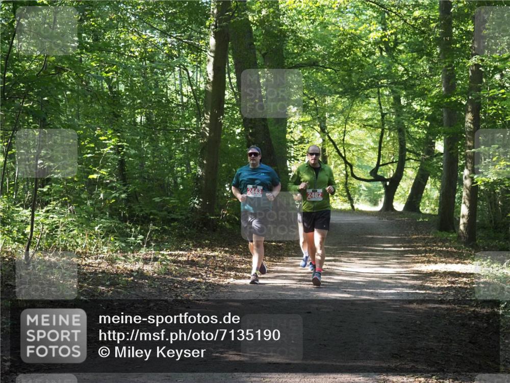 22.09.2024 - 32. Volkslauf durch das schöne Alstertal Miley Keyser http://msf.ph/oto/7135190 22.09.2024 10:49:13 Laufen 2443, 2482 meine-sportfotos.de