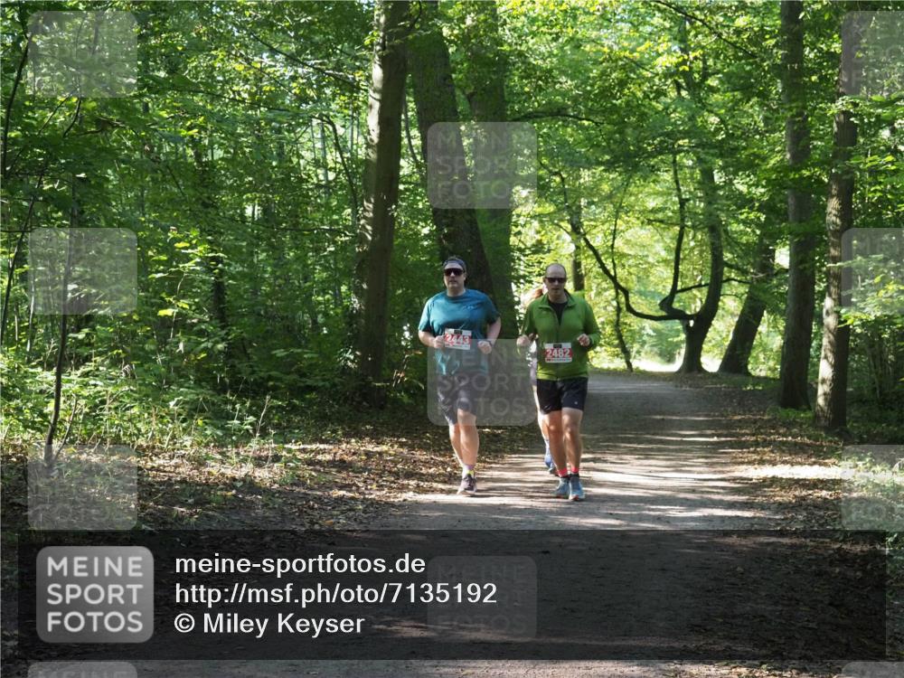 22.09.2024 - 32. Volkslauf durch das schöne Alstertal Miley Keyser http://msf.ph/oto/7135192 22.09.2024 10:49:13 Laufen 2443, 2482 meine-sportfotos.de