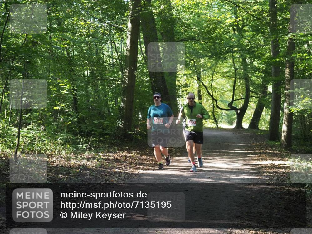 22.09.2024 - 32. Volkslauf durch das schöne Alstertal Miley Keyser http://msf.ph/oto/7135195 22.09.2024 10:49:13 Laufen 2443 meine-sportfotos.de