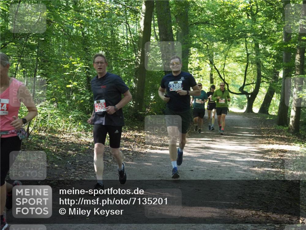 22.09.2024 - 32. Volkslauf durch das schöne Alstertal Miley Keyser http://msf.ph/oto/7135201 22.09.2024 10:49:10 Laufen 34, 2355, 3389 meine-sportfotos.de