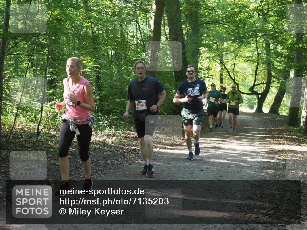 22.09.2024 - 32. Volkslauf durch das schöne Alstertal Miley Keyser http://msf.ph/oto/7135203 22.09.2024 10:49:09 Laufen 2355, 3389, 2482 meine-sportfotos.de