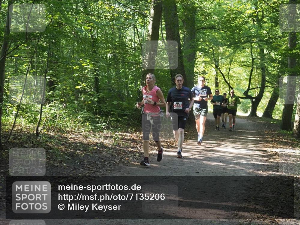 22.09.2024 - 32. Volkslauf durch das schöne Alstertal Miley Keyser http://msf.ph/oto/7135206 22.09.2024 10:49:08 Laufen 2355, 3389 meine-sportfotos.de