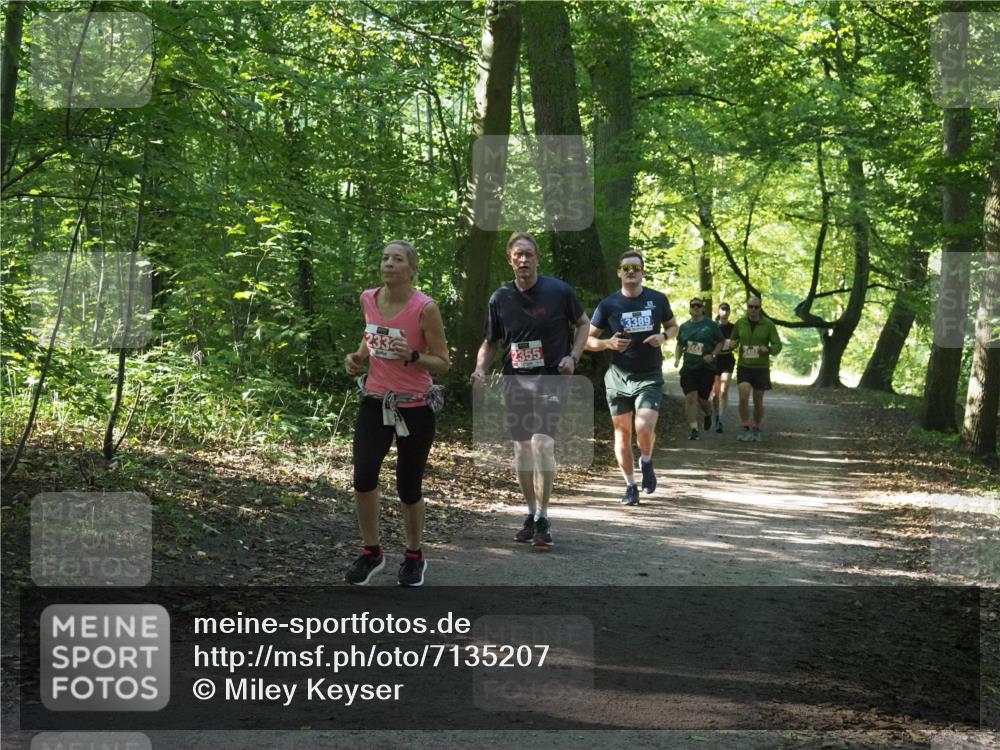 22.09.2024 - 32. Volkslauf durch das schöne Alstertal Miley Keyser http://msf.ph/oto/7135207 22.09.2024 10:49:08 Laufen 2355, 3389 meine-sportfotos.de