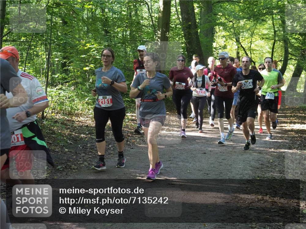 22.09.2024 - 32. Volkslauf durch das schöne Alstertal Miley Keyser http://msf.ph/oto/7135242 22.09.2024 10:48:56 Laufen 01, 2151, 200, 2004, 2003, 2215, 3364, 3385 meine-sportfotos.de