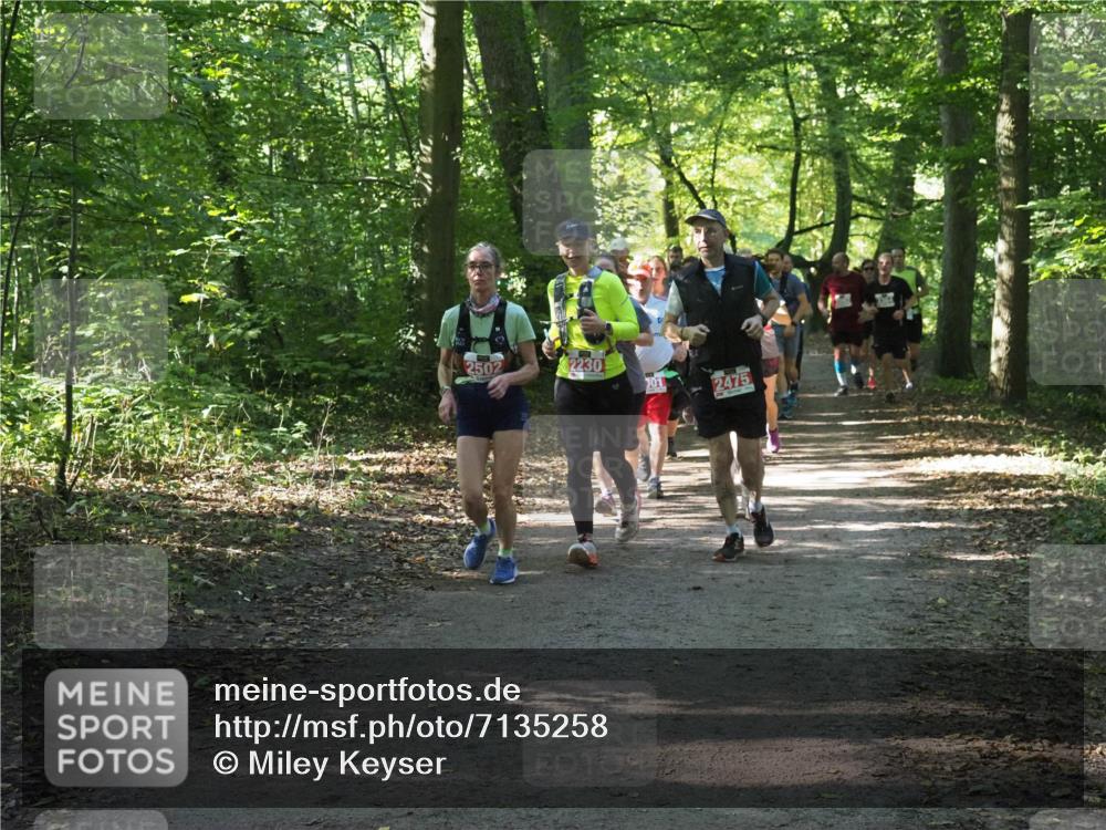 22.09.2024 - 32. Volkslauf durch das schöne Alstertal Miley Keyser http://msf.ph/oto/7135258 22.09.2024 10:48:52 Laufen 2502, 2230, 201, 2475 meine-sportfotos.de