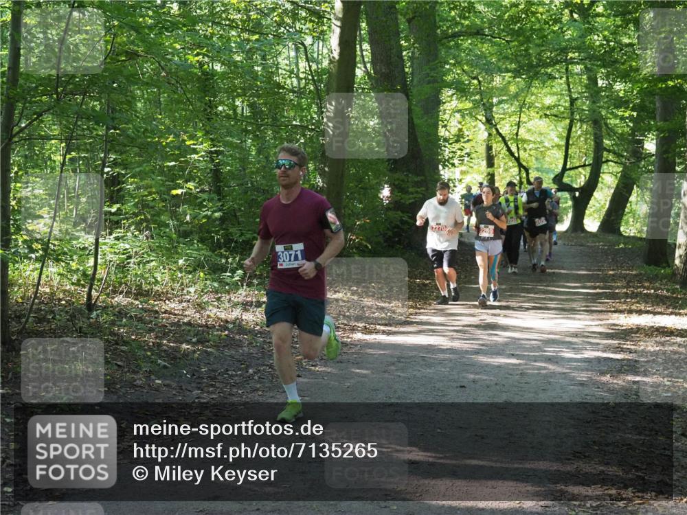 22.09.2024 - 32. Volkslauf durch das schöne Alstertal Miley Keyser http://msf.ph/oto/7135265 22.09.2024 10:48:46 Laufen 3071, 2270, 2269 meine-sportfotos.de