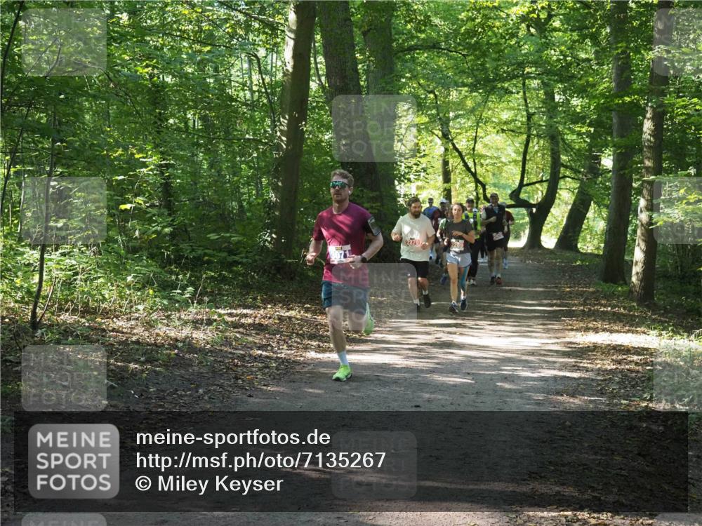 22.09.2024 - 32. Volkslauf durch das schöne Alstertal Miley Keyser http://msf.ph/oto/7135267 22.09.2024 10:48:46 Laufen 2270 meine-sportfotos.de