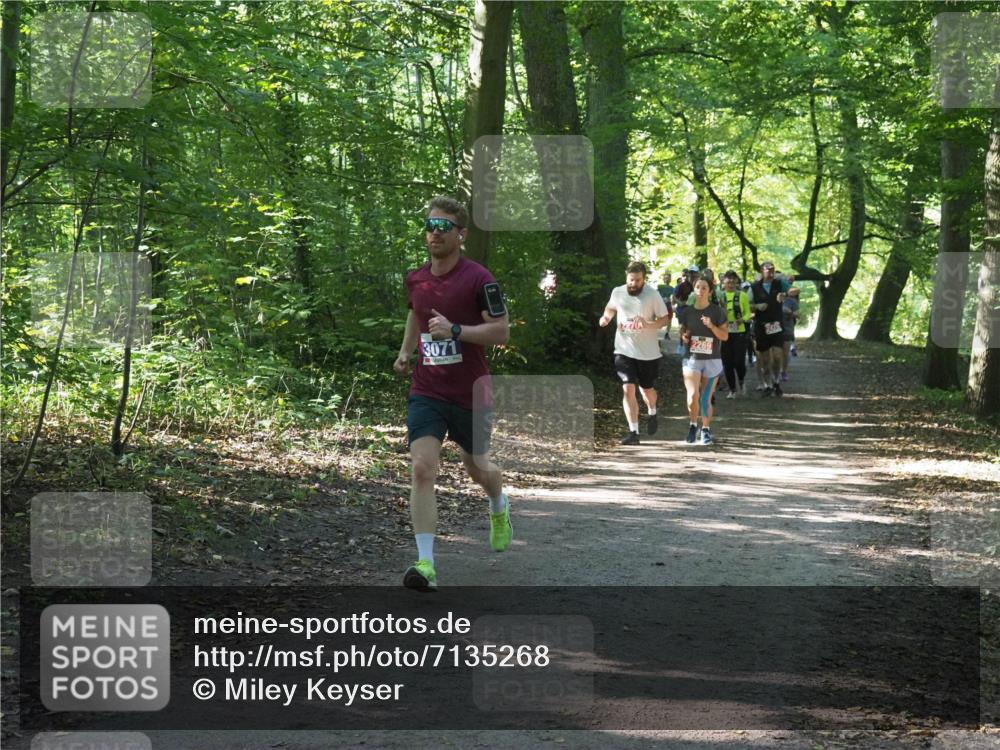 22.09.2024 - 32. Volkslauf durch das schöne Alstertal Miley Keyser http://msf.ph/oto/7135268 22.09.2024 10:48:46 Laufen 3071, 2269, 230 meine-sportfotos.de