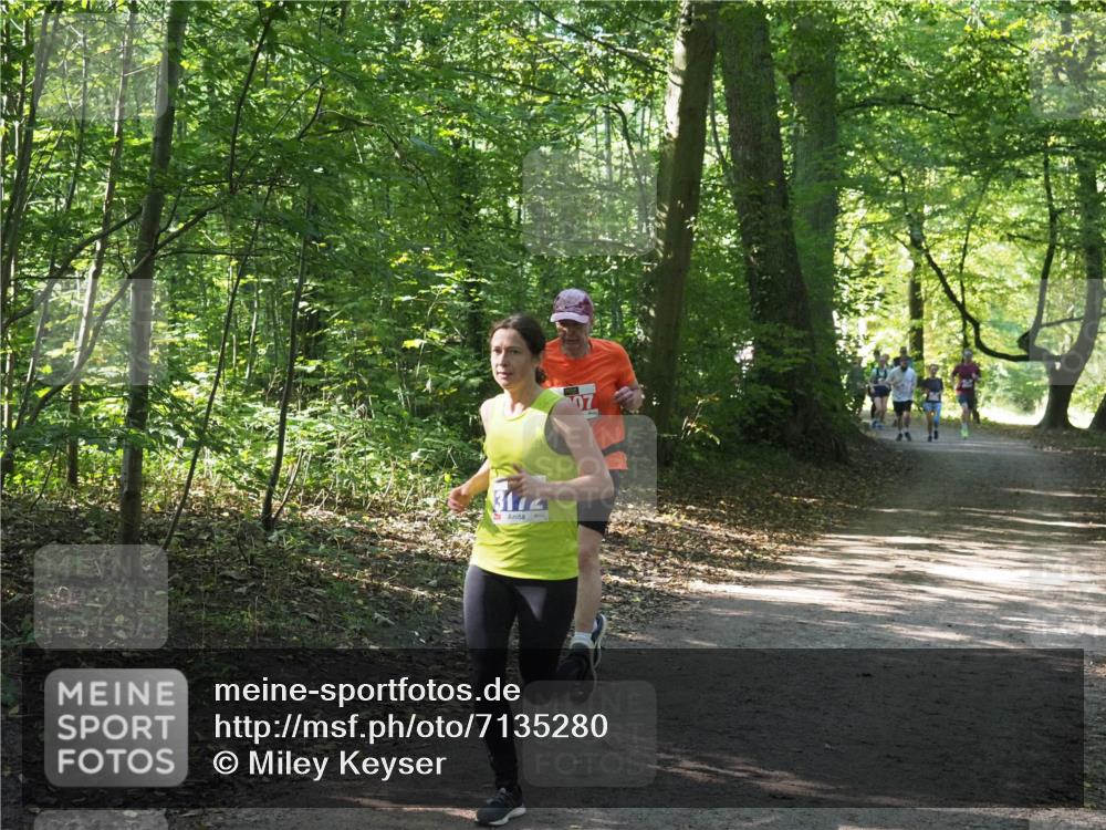 22.09.2024 - 32. Volkslauf durch das schöne Alstertal Miley Keyser http://msf.ph/oto/7135280 22.09.2024 10:48:37 Laufen  meine-sportfotos.de