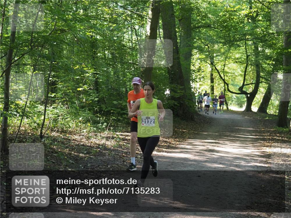 22.09.2024 - 32. Volkslauf durch das schöne Alstertal Miley Keyser http://msf.ph/oto/7135283 22.09.2024 10:48:37 Laufen 3172 meine-sportfotos.de