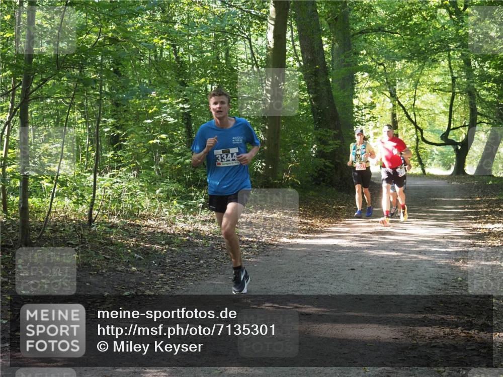 22.09.2024 - 32. Volkslauf durch das schöne Alstertal Miley Keyser http://msf.ph/oto/7135301 22.09.2024 10:48:27 Laufen 3344, 2537 meine-sportfotos.de