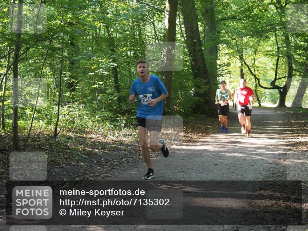 22.09.2024 - 32. Volkslauf durch das schöne Alstertal Miley Keyser http://msf.ph/oto/7135302 22.09.2024 10:48:27 Laufen 3344 meine-sportfotos.de