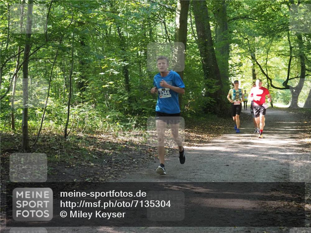 22.09.2024 - 32. Volkslauf durch das schöne Alstertal Miley Keyser http://msf.ph/oto/7135304 22.09.2024 10:48:27 Laufen 3344 meine-sportfotos.de