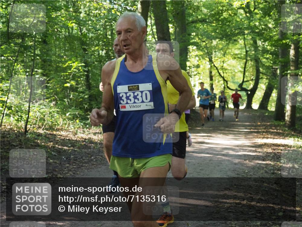 22.09.2024 - 32. Volkslauf durch das schöne Alstertal Miley Keyser http://msf.ph/oto/7135316 22.09.2024 10:48:24 Laufen 3330 meine-sportfotos.de