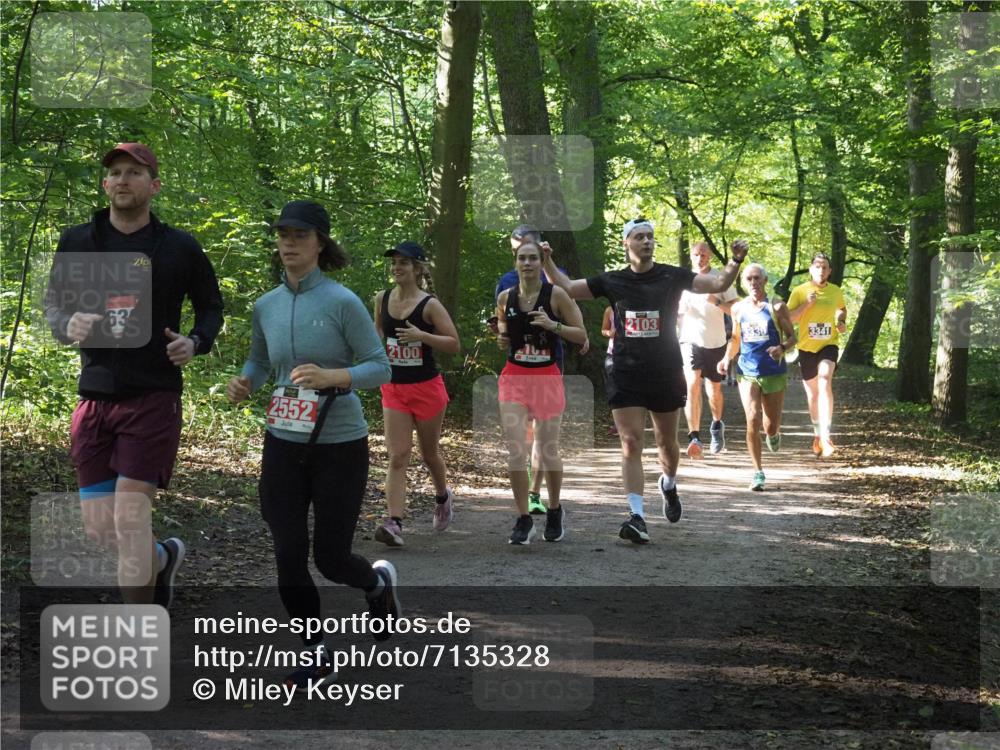 22.09.2024 - 32. Volkslauf durch das schöne Alstertal Miley Keyser http://msf.ph/oto/7135328 22.09.2024 10:48:21 Laufen 63, 2552, 2100, 2103, 330, 3341 meine-sportfotos.de