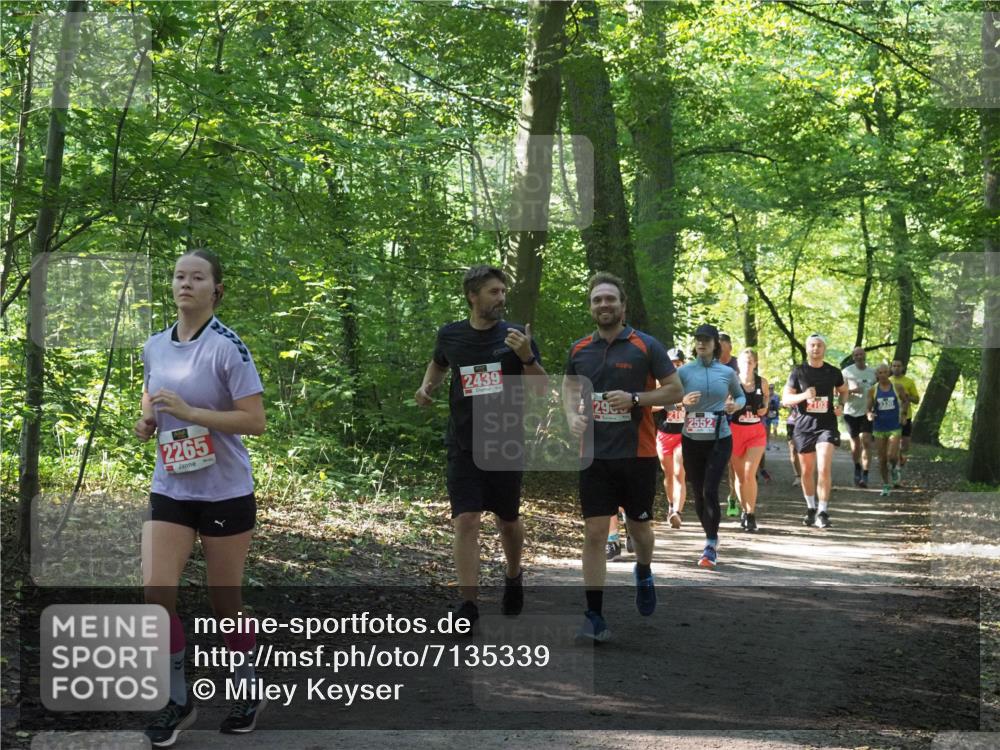 22.09.2024 - 32. Volkslauf durch das schöne Alstertal Miley Keyser http://msf.ph/oto/7135339 22.09.2024 10:48:18 Laufen 2265, 2439, 3, 29, 2552 meine-sportfotos.de