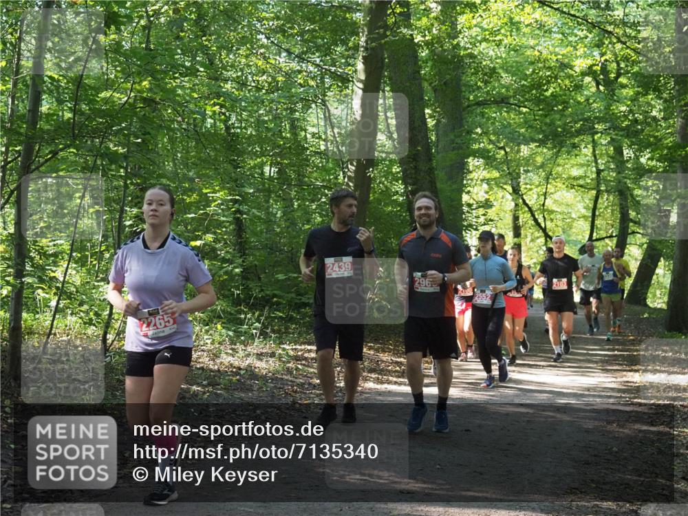 22.09.2024 - 32. Volkslauf durch das schöne Alstertal Miley Keyser http://msf.ph/oto/7135340 22.09.2024 10:48:18 Laufen 2265, 2439, 296, 2103 meine-sportfotos.de