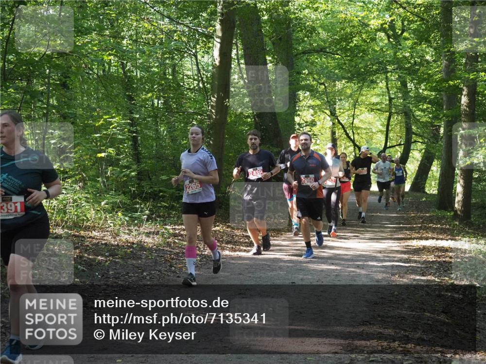 22.09.2024 - 32. Volkslauf durch das schöne Alstertal Miley Keyser http://msf.ph/oto/7135341 22.09.2024 10:48:17 Laufen 391, 2265, 2439, 2960, 52, 103 meine-sportfotos.de