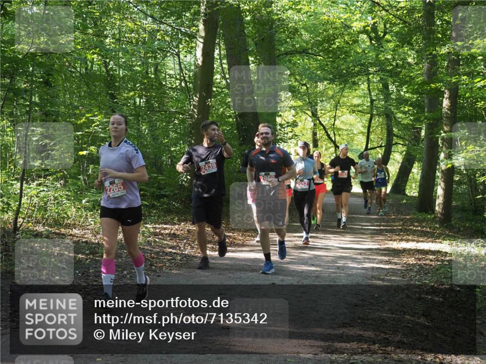 22.09.2024 - 32. Volkslauf durch das schöne Alstertal Miley Keyser http://msf.ph/oto/7135342 22.09.2024 10:48:17 Laufen 2265, 2439, 2960, 2552 meine-sportfotos.de