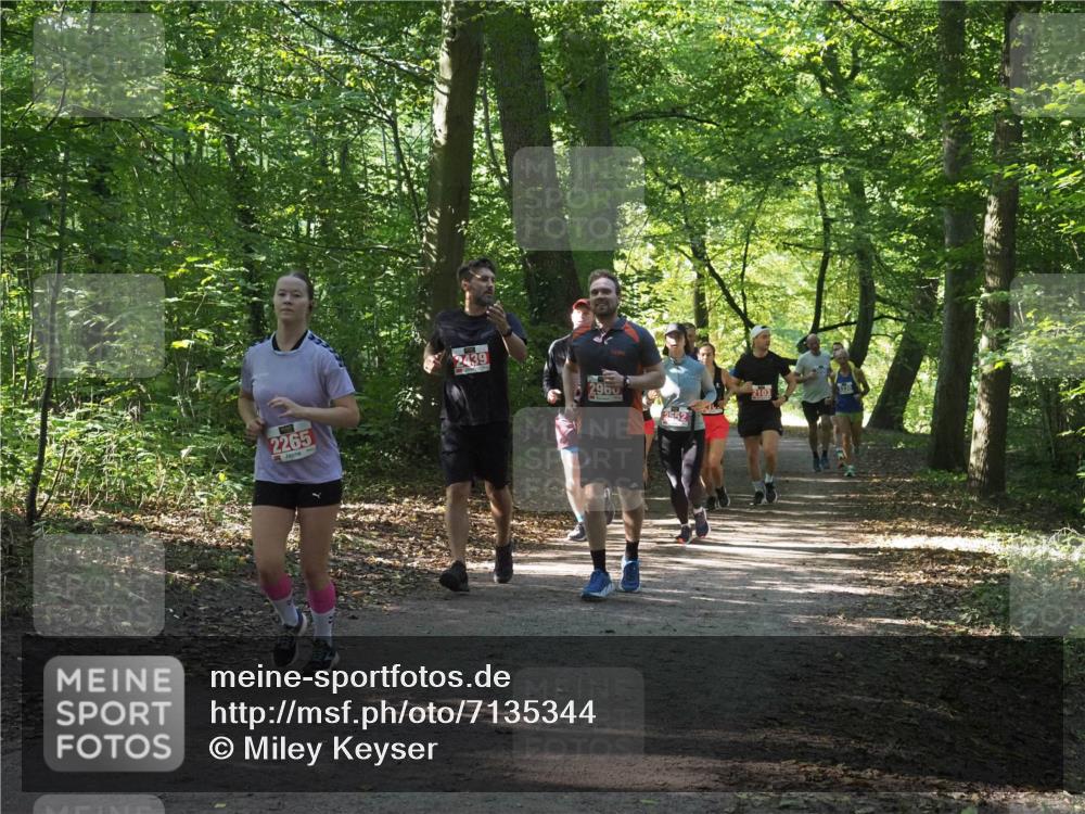 22.09.2024 - 32. Volkslauf durch das schöne Alstertal Miley Keyser http://msf.ph/oto/7135344 22.09.2024 10:48:17 Laufen 2265, 2439, 2960, 2103, 2552 meine-sportfotos.de