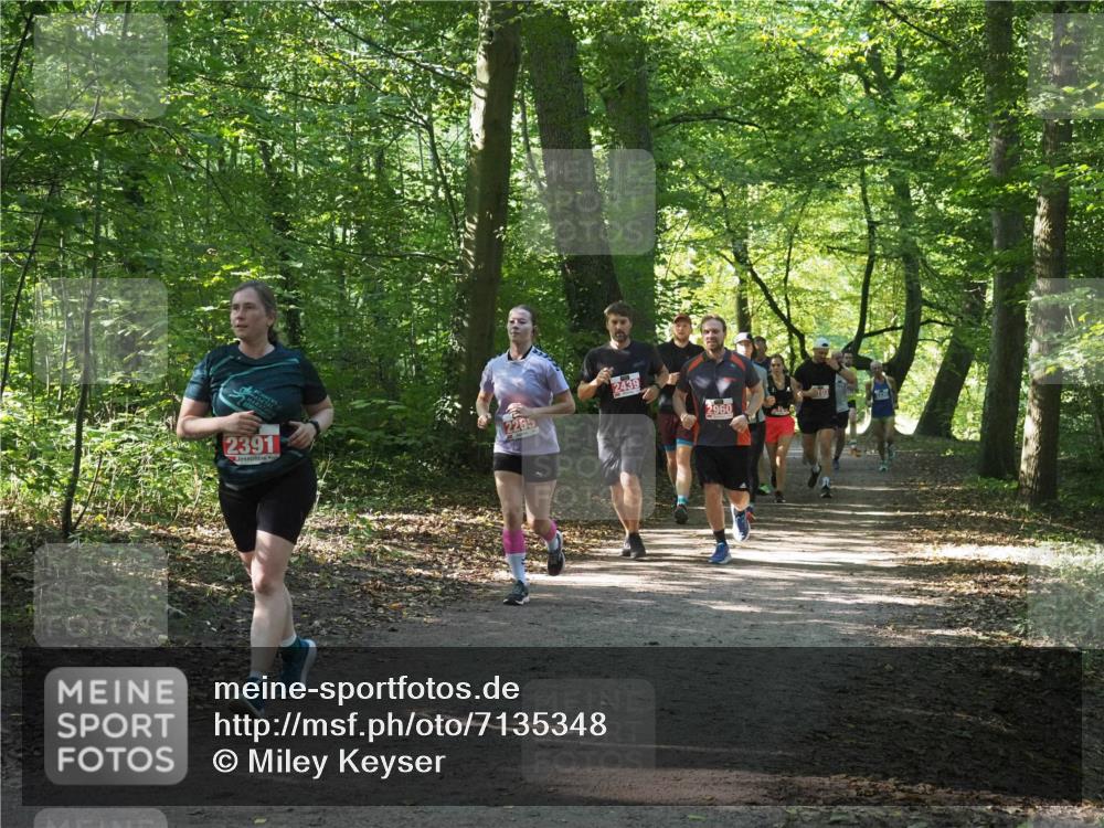 22.09.2024 - 32. Volkslauf durch das schöne Alstertal Miley Keyser http://msf.ph/oto/7135348 22.09.2024 10:48:16 Laufen 2391, 2265, 2439, 2960 meine-sportfotos.de
