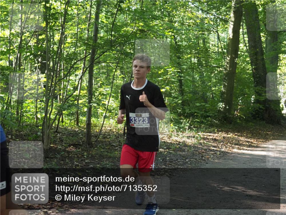 22.09.2024 - 32. Volkslauf durch das schöne Alstertal Miley Keyser http://msf.ph/oto/7135352 22.09.2024 10:48:08 Laufen 3323 meine-sportfotos.de