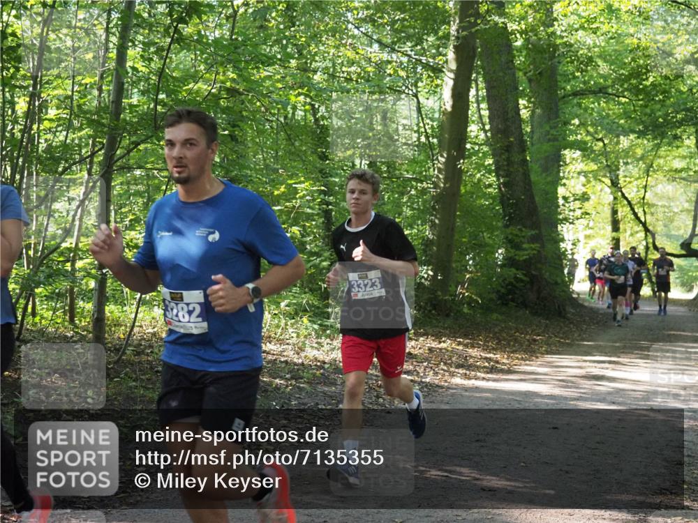 22.09.2024 - 32. Volkslauf durch das schöne Alstertal Miley Keyser http://msf.ph/oto/7135355 22.09.2024 10:48:08 Laufen 282, 3323 meine-sportfotos.de