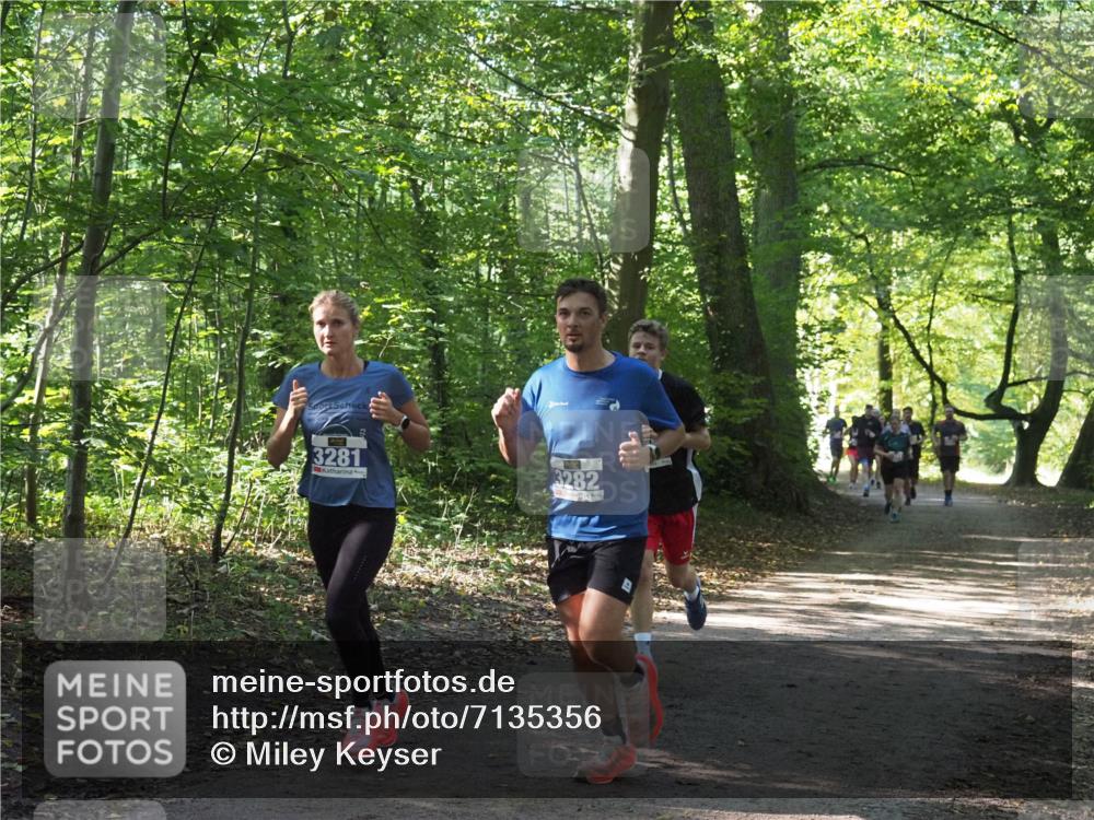 22.09.2024 - 32. Volkslauf durch das schöne Alstertal Miley Keyser http://msf.ph/oto/7135356 22.09.2024 10:48:07 Laufen 3281, 3282 meine-sportfotos.de