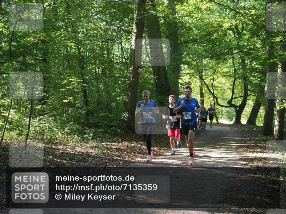 22.09.2024 - 32. Volkslauf durch das schöne Alstertal Miley Keyser http://msf.ph/oto/7135359 22.09.2024 10:48:06 Laufen 3281, 3282, 3323 meine-sportfotos.de