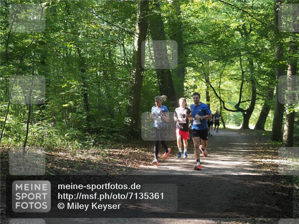 22.09.2024 - 32. Volkslauf durch das schöne Alstertal Miley Keyser http://msf.ph/oto/7135361 22.09.2024 10:48:06 Laufen 3281, 3282 meine-sportfotos.de