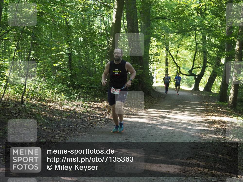 22.09.2024 - 32. Volkslauf durch das schöne Alstertal Miley Keyser http://msf.ph/oto/7135363 22.09.2024 10:48:00 Laufen 2425 meine-sportfotos.de