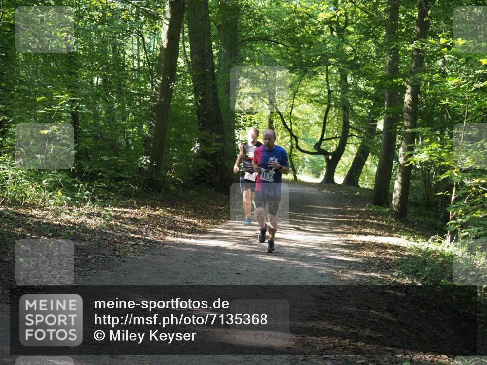 22.09.2024 - 32. Volkslauf durch das schöne Alstertal Miley Keyser http://msf.ph/oto/7135368 22.09.2024 10:47:57 Laufen 3182 meine-sportfotos.de