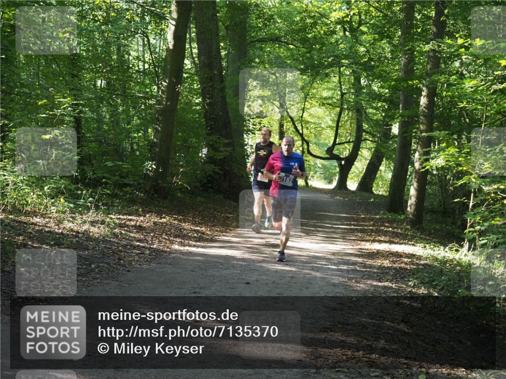 22.09.2024 - 32. Volkslauf durch das schöne Alstertal Miley Keyser http://msf.ph/oto/7135370 22.09.2024 10:47:57 Laufen 242, 182 meine-sportfotos.de