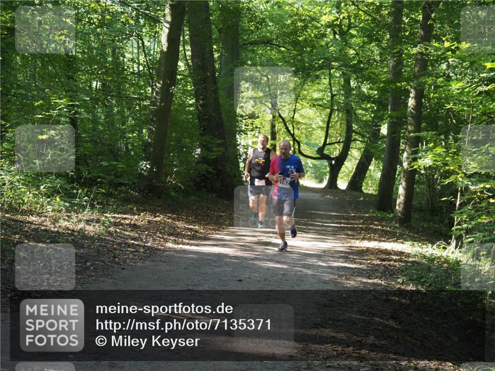 22.09.2024 - 32. Volkslauf durch das schöne Alstertal Miley Keyser http://msf.ph/oto/7135371 22.09.2024 10:47:57 Laufen 425, 182 meine-sportfotos.de