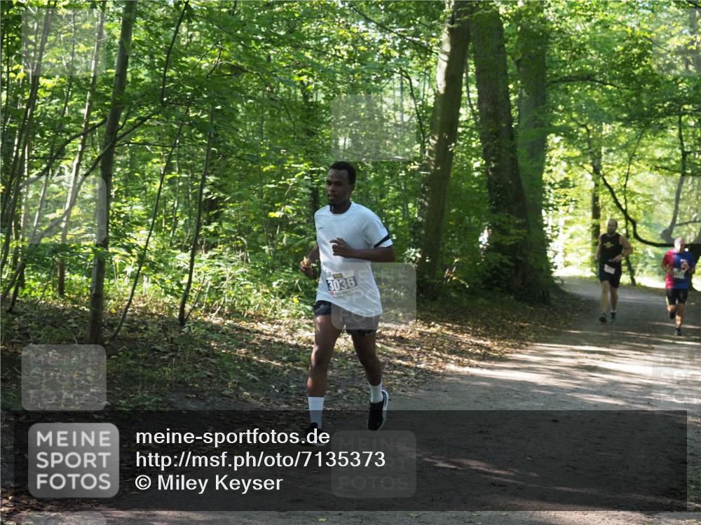 22.09.2024 - 32. Volkslauf durch das schöne Alstertal Miley Keyser http://msf.ph/oto/7135373 22.09.2024 10:47:54 Laufen 3036 meine-sportfotos.de