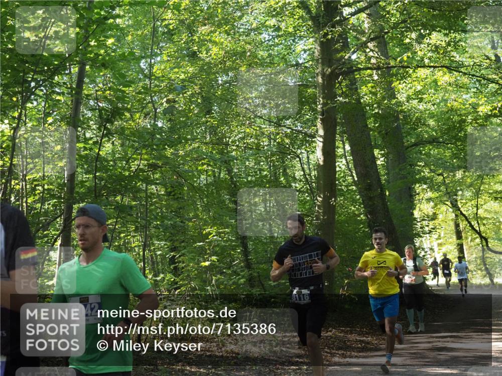 22.09.2024 - 32. Volkslauf durch das schöne Alstertal Miley Keyser http://msf.ph/oto/7135386 22.09.2024 10:47:46 Laufen 3042, 3116 meine-sportfotos.de