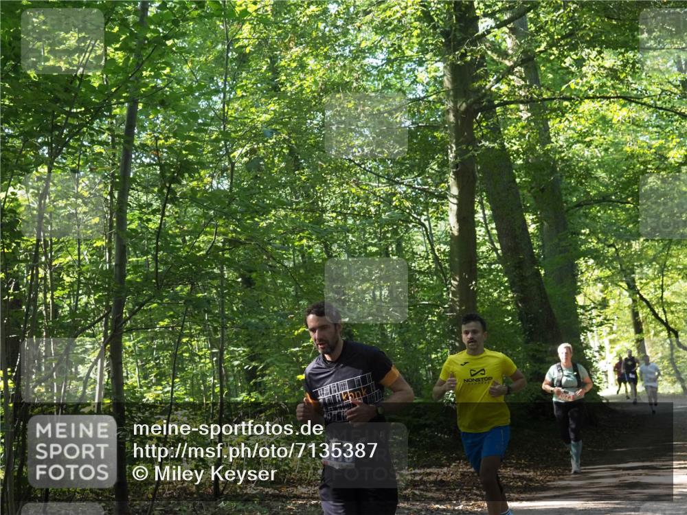 22.09.2024 - 32. Volkslauf durch das schöne Alstertal Miley Keyser http://msf.ph/oto/7135387 22.09.2024 10:47:47 Laufen 3116 meine-sportfotos.de