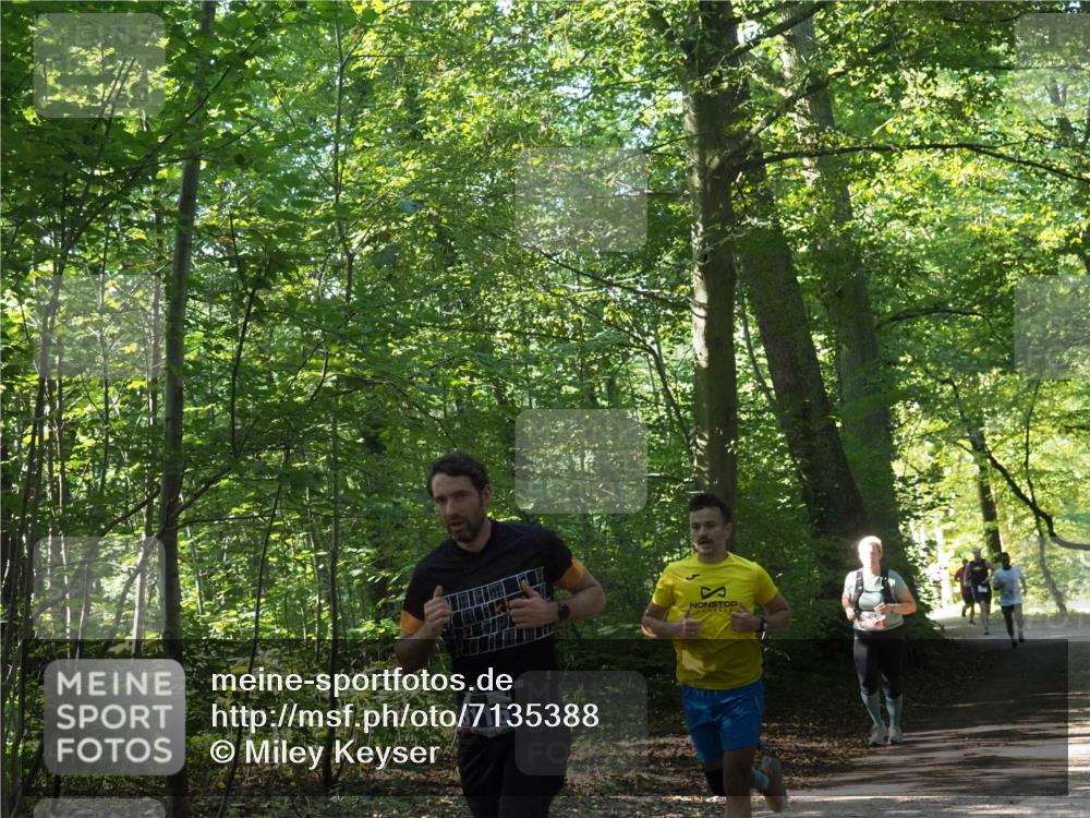 22.09.2024 - 32. Volkslauf durch das schöne Alstertal Miley Keyser http://msf.ph/oto/7135388 22.09.2024 10:47:47 Laufen 3116 meine-sportfotos.de