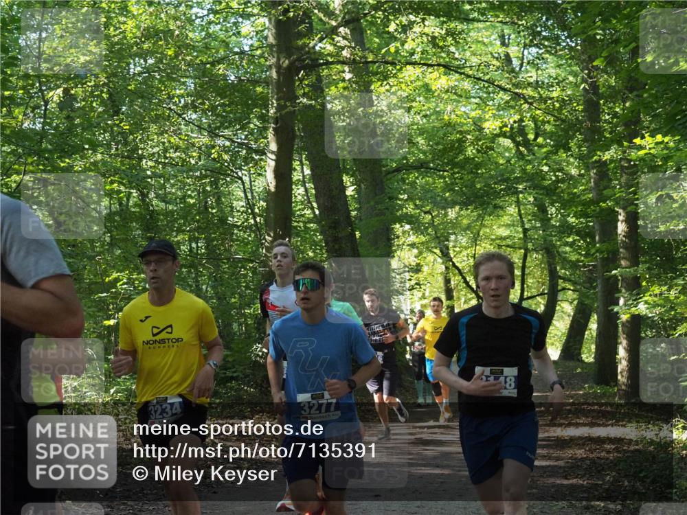 22.09.2024 - 32. Volkslauf durch das schöne Alstertal Miley Keyser http://msf.ph/oto/7135391 22.09.2024 10:47:45 Laufen 3234, 3277 meine-sportfotos.de