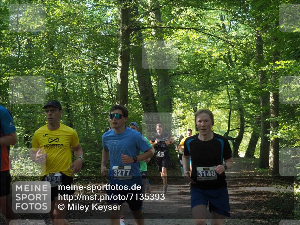 22.09.2024 - 32. Volkslauf durch das schöne Alstertal Miley Keyser http://msf.ph/oto/7135393 22.09.2024 10:47:45 Laufen 3234, 3277, 2635, 3148 meine-sportfotos.de