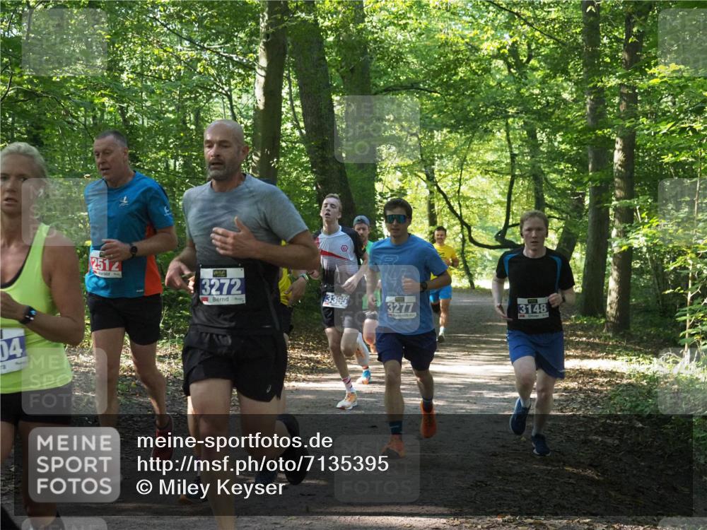 22.09.2024 - 32. Volkslauf durch das schöne Alstertal Miley Keyser http://msf.ph/oto/7135395 22.09.2024 10:47:44 Laufen 04, 2512, 3272, 3365, 3277, 3148 meine-sportfotos.de