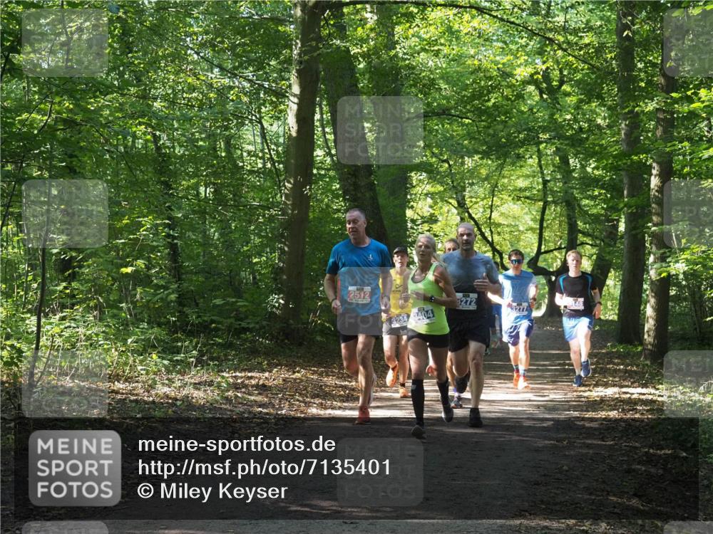 22.09.2024 - 32. Volkslauf durch das schöne Alstertal Miley Keyser http://msf.ph/oto/7135401 22.09.2024 10:47:42 Laufen 2512, 3404, 5272, 3277 meine-sportfotos.de