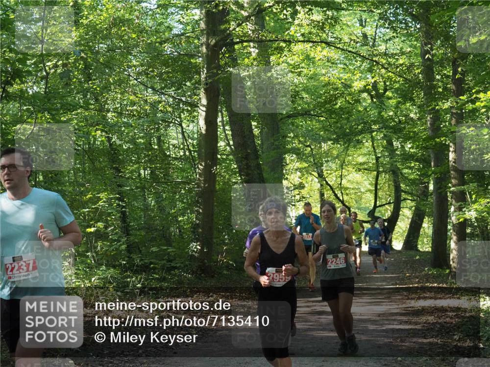 22.09.2024 - 32. Volkslauf durch das schöne Alstertal Miley Keyser http://msf.ph/oto/7135410 22.09.2024 10:47:39 Laufen 2237, 295, 2246 meine-sportfotos.de